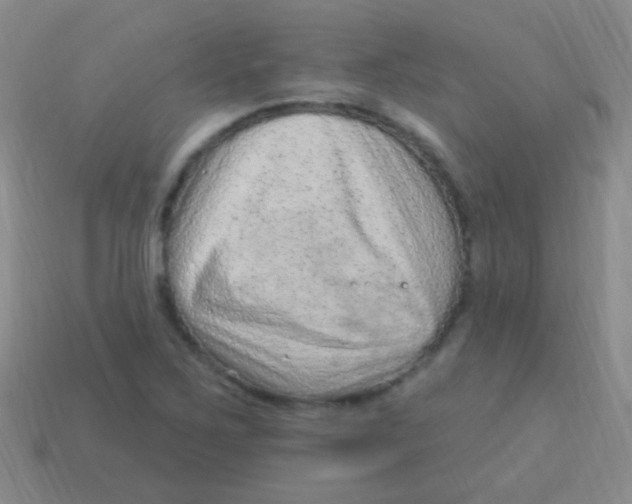 X0000113611267200910161921