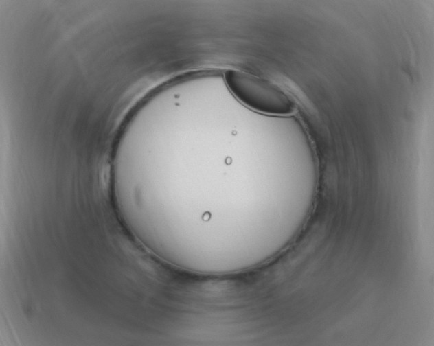 X0000113611268200910161921