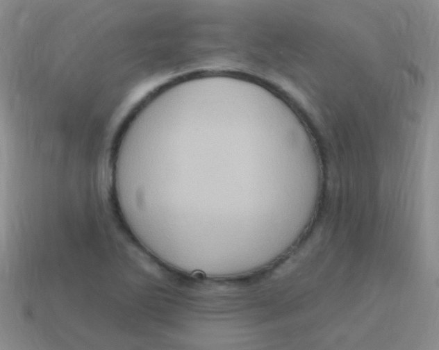 X0000113611270200910161921