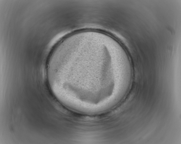 X0000113611271200910161921