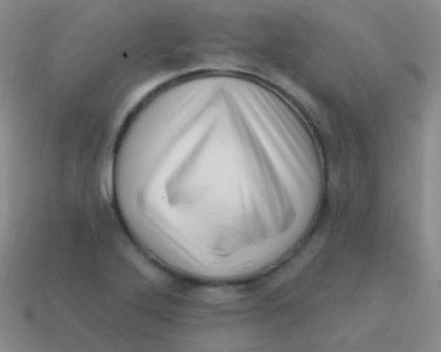 X0000113611272200910161921