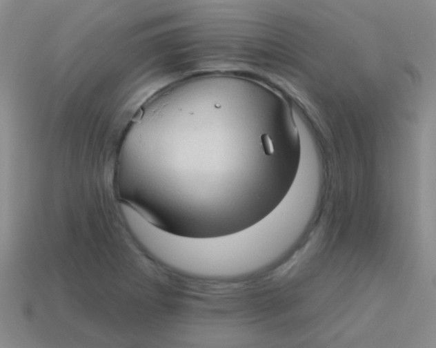 X0000113611273200910161921