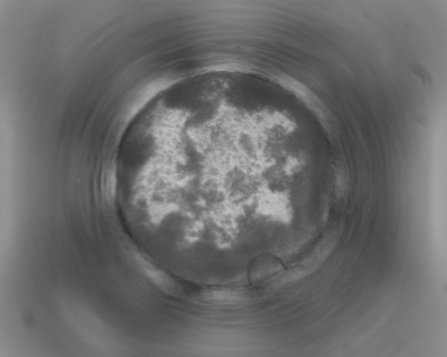 X0000113611274200910161921