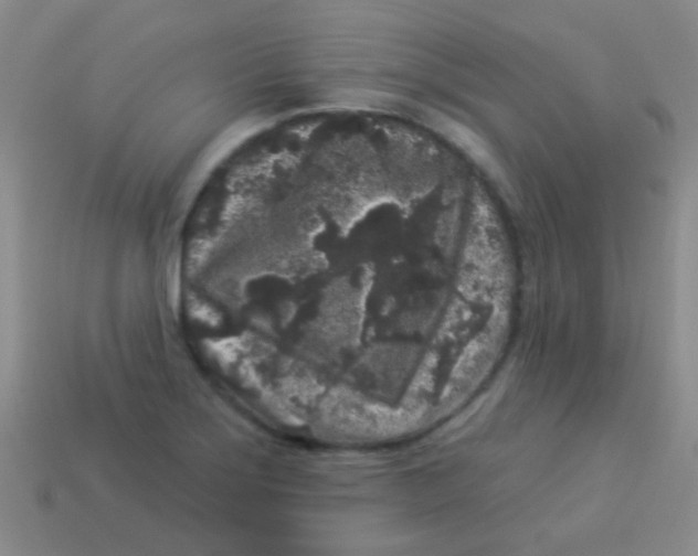 X0000113611275200910161921