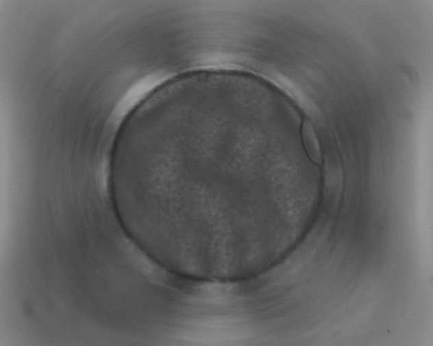 X0000113611277200910161921