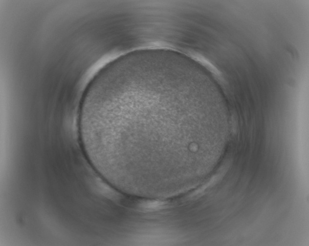 X0000113611278200910161921