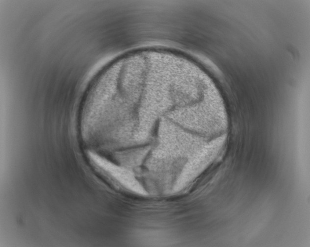 X0000113611279200910161921