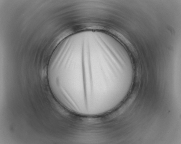 X0000113611281200910161921