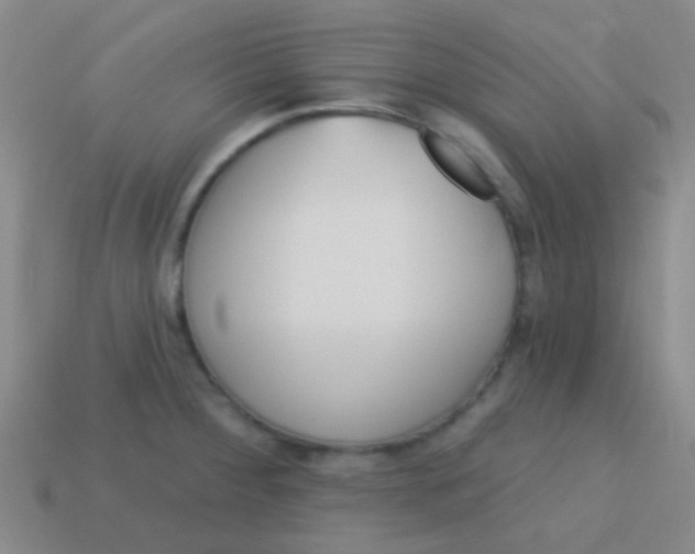 X0000113611284200910161921