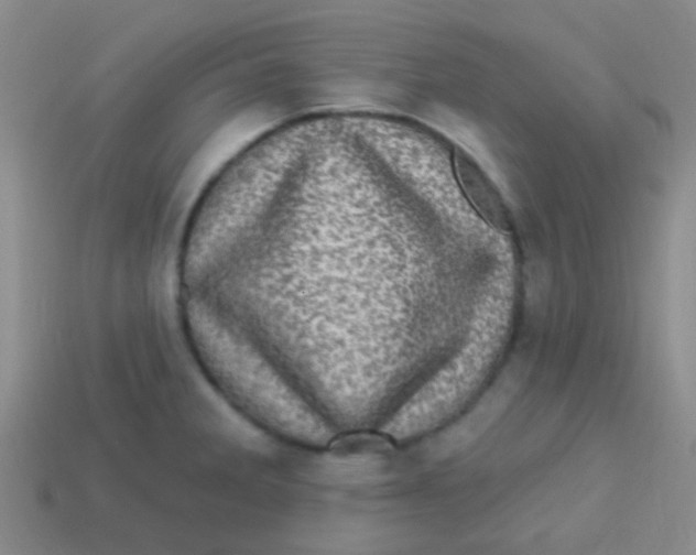 X0000113611285200910161920