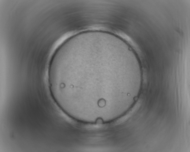 X0000113611286200910161920