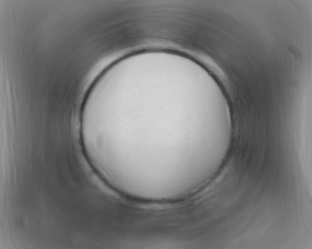 X0000113611287200910161920