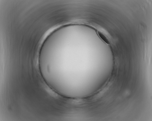 X0000113611288200910161920