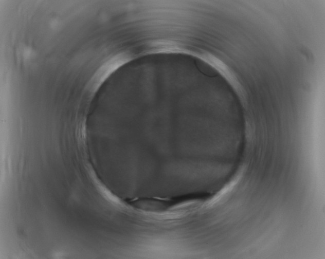 X0000113611289200910161920