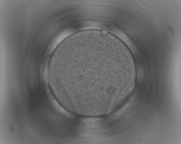 X0000113611290200910161920