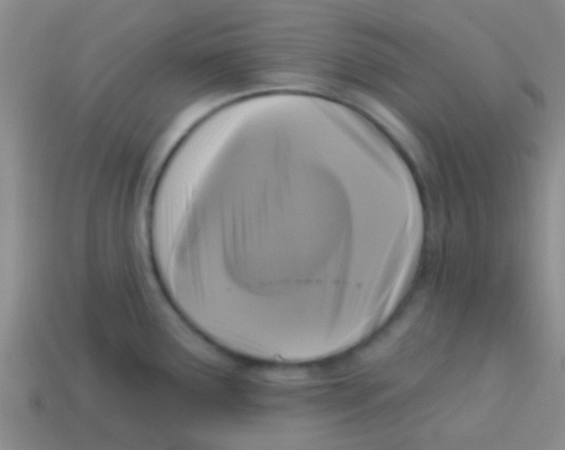 X0000113611291200910161920