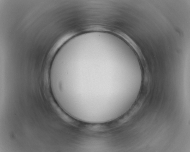 X0000113611293200910161920