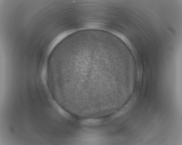 X0000113611294200910161920