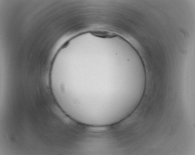 X0000113611296200910161920