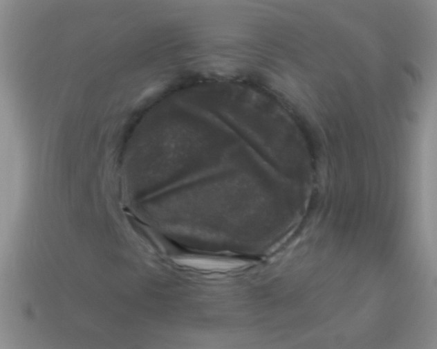 X0000113611297200910161920