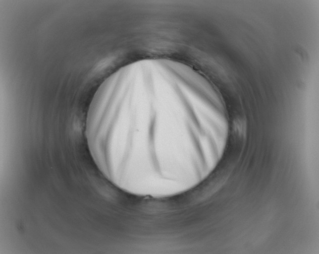 X0000113611300200910161920