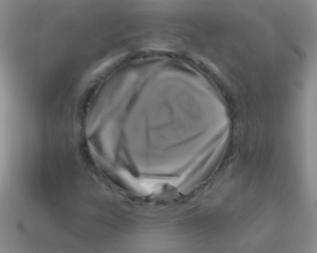 X0000113611303200910161920