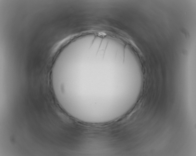 X0000113611304200910161920