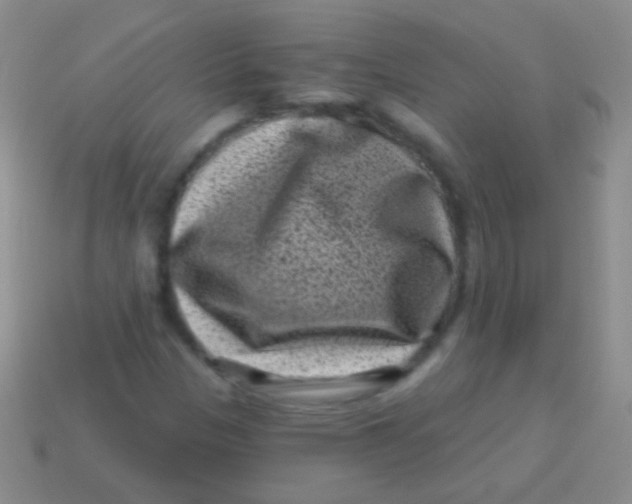 X0000113611305200910161920