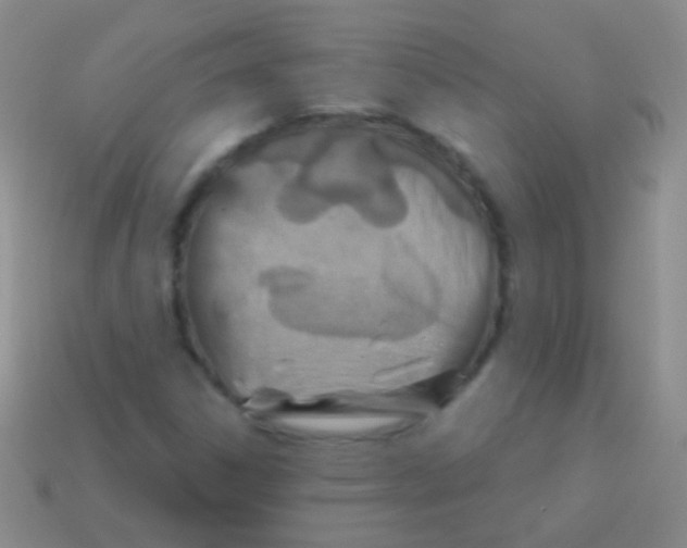 X0000113611306200910161920