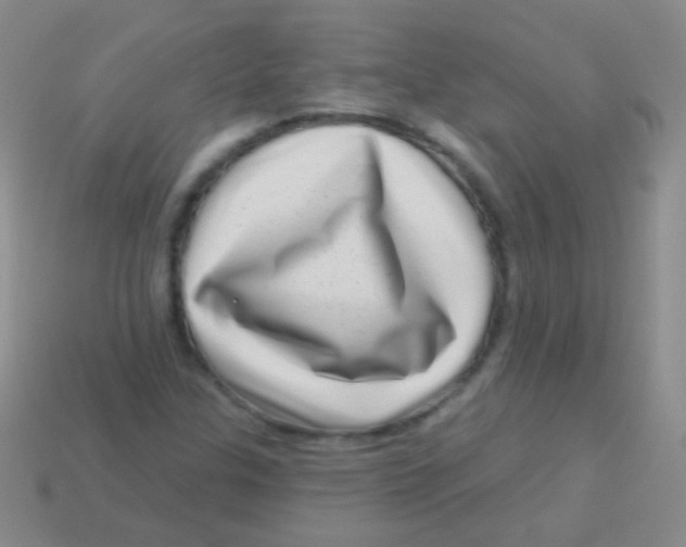 X0000113611307200910161920