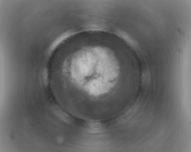 X0000113611310200910161920