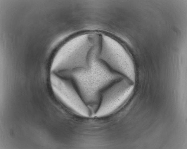 X0000113611311200910161920