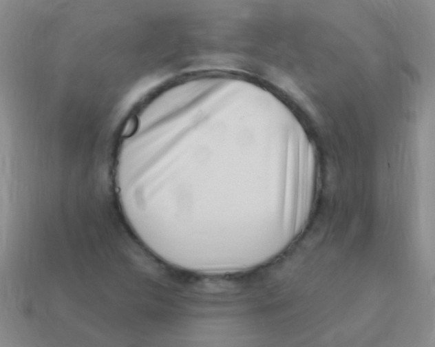 X0000113611312200910161920