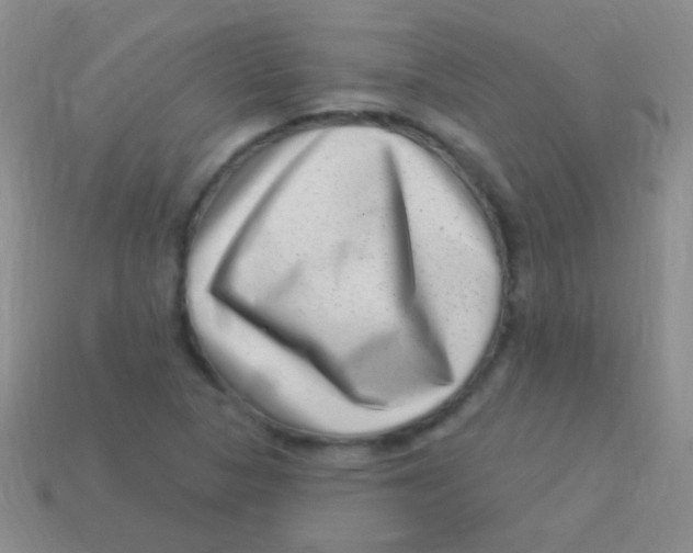 X0000113611313200910161920