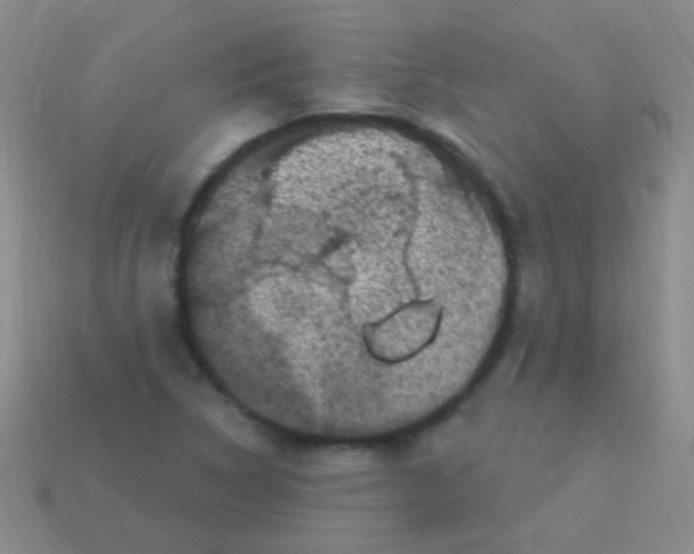 X0000113611314200910161920