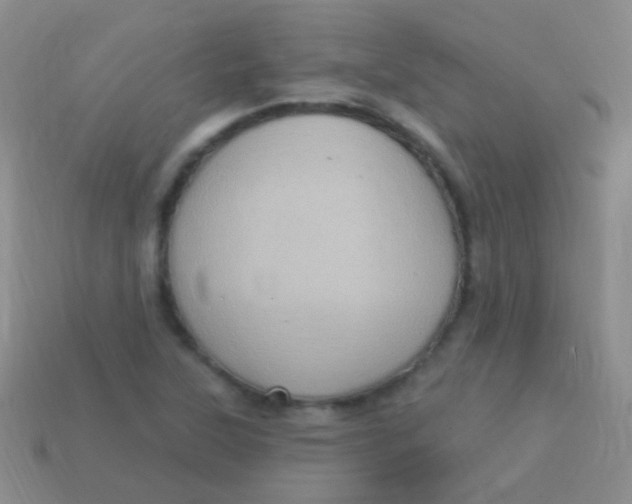 X0000113611315200910161920