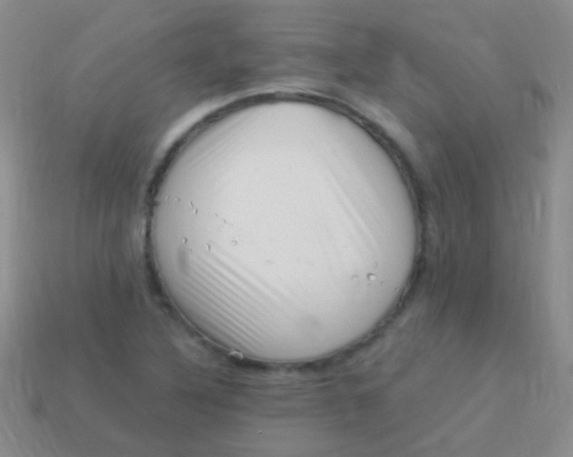 X0000113611316200910161920