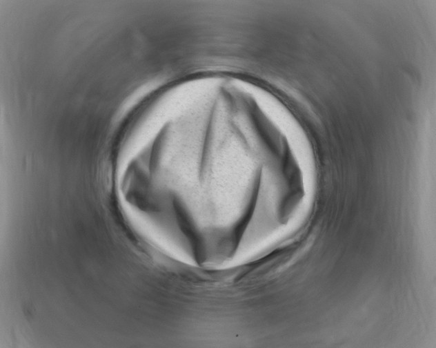 X0000113611317200910161920