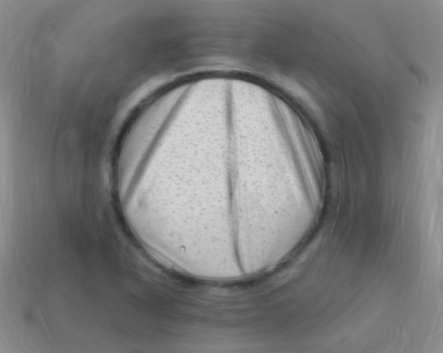 X0000113611318200910161920