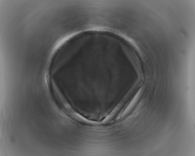 X0000113611319200910161920