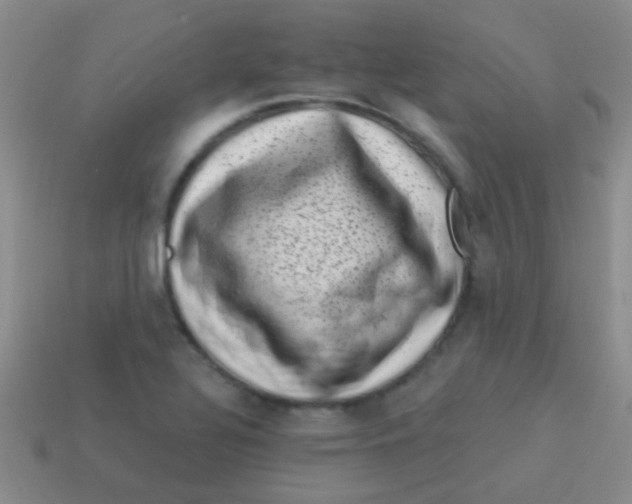 X0000113611320200910161920