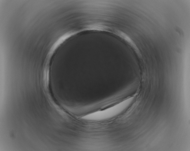 X0000113611323200910161920