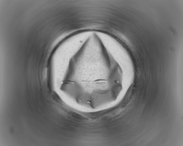 X0000113611324200910161920