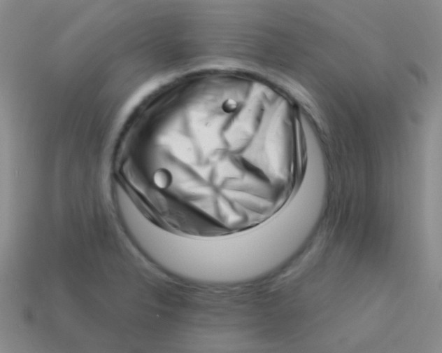 X0000113611326200910161920