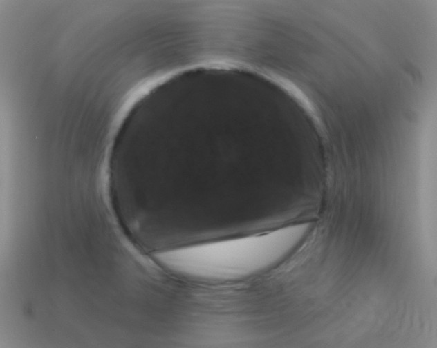 X0000113611327200910161920