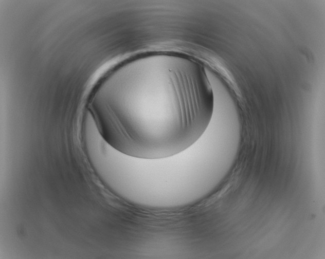 X0000113611328200910161920