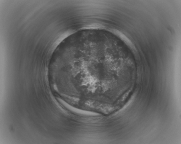 X0000113611329200910161920