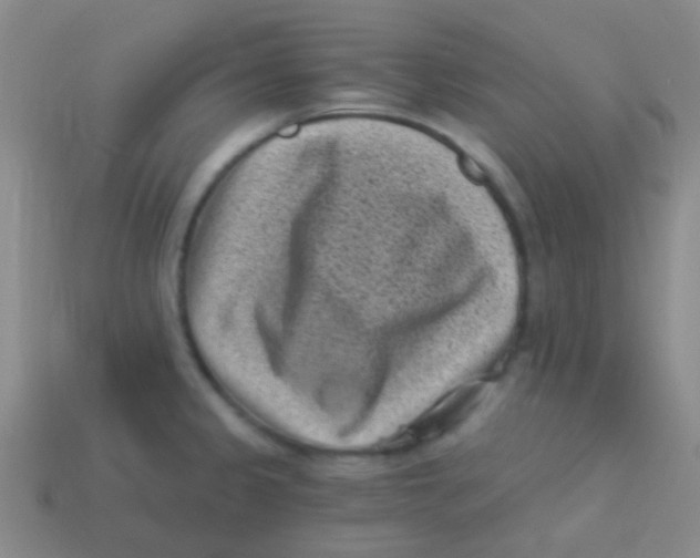 X0000113611333200910161920