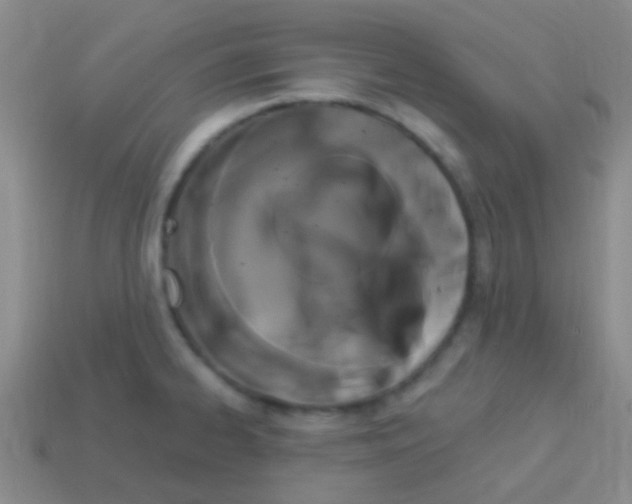 X0000113611334200910161920