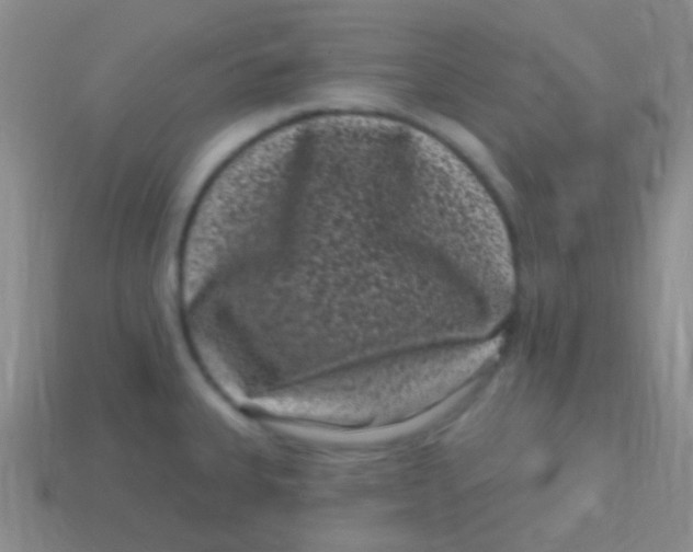 X0000113611335200910161920